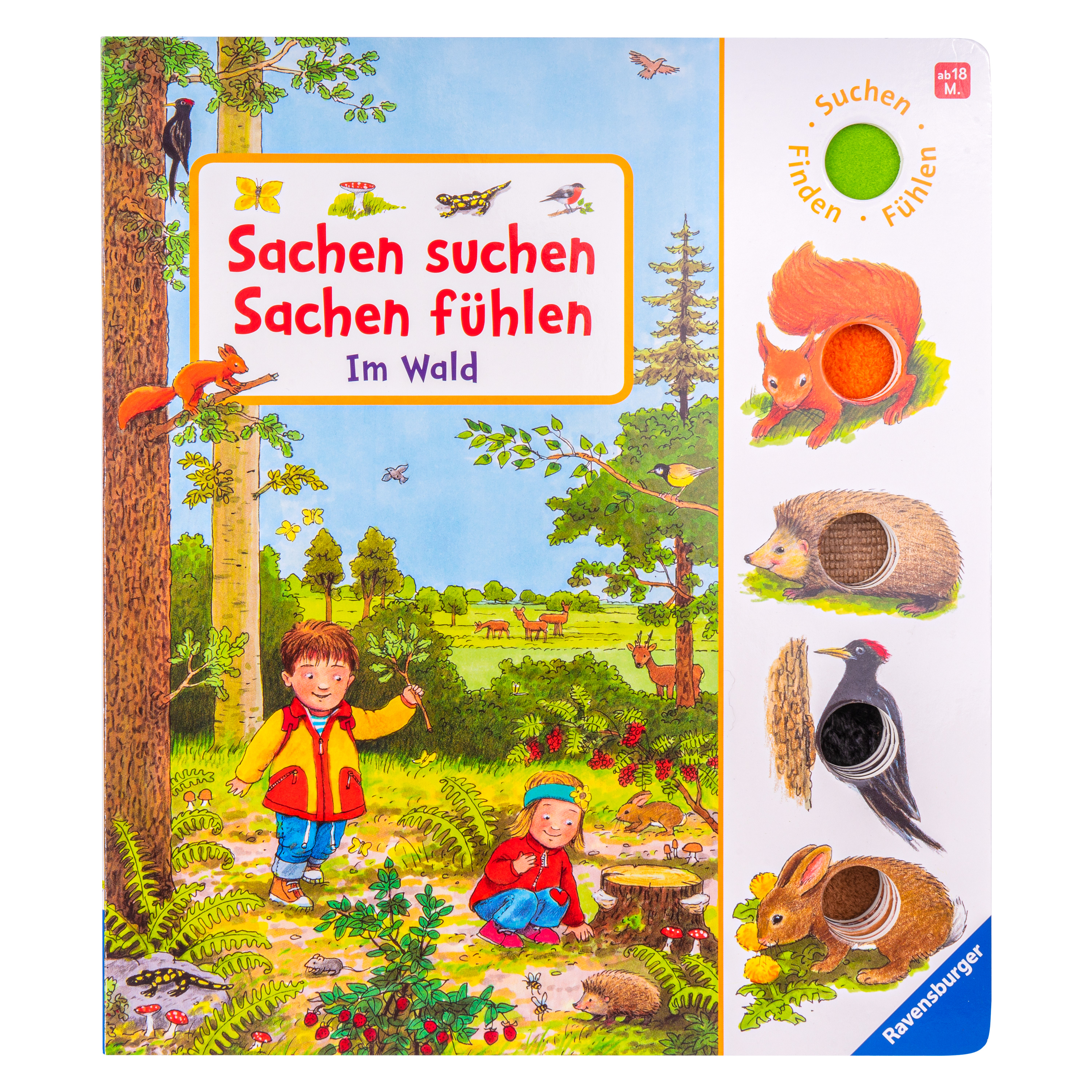 Wimmelbuch 'Sachen suchen, Sachen fühlen: Im Wald'