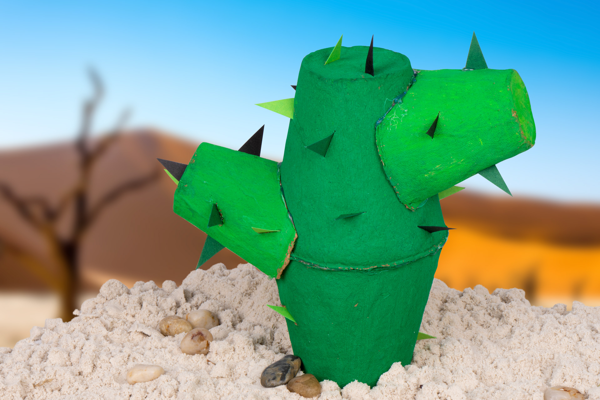 Kaktus aus Pflanztöpfen