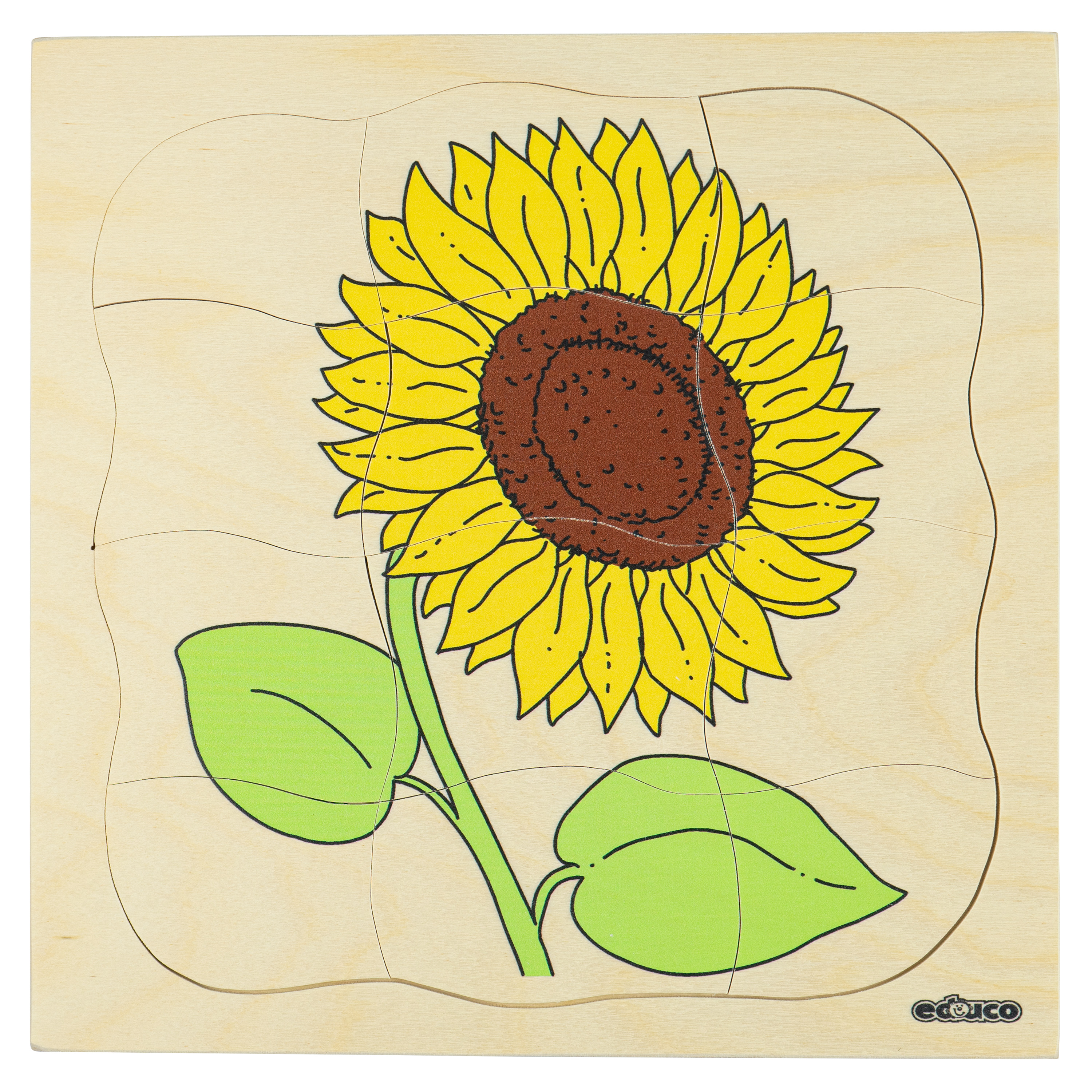 Wachstums-Lagen-Puzzle 'Sonnenblume'