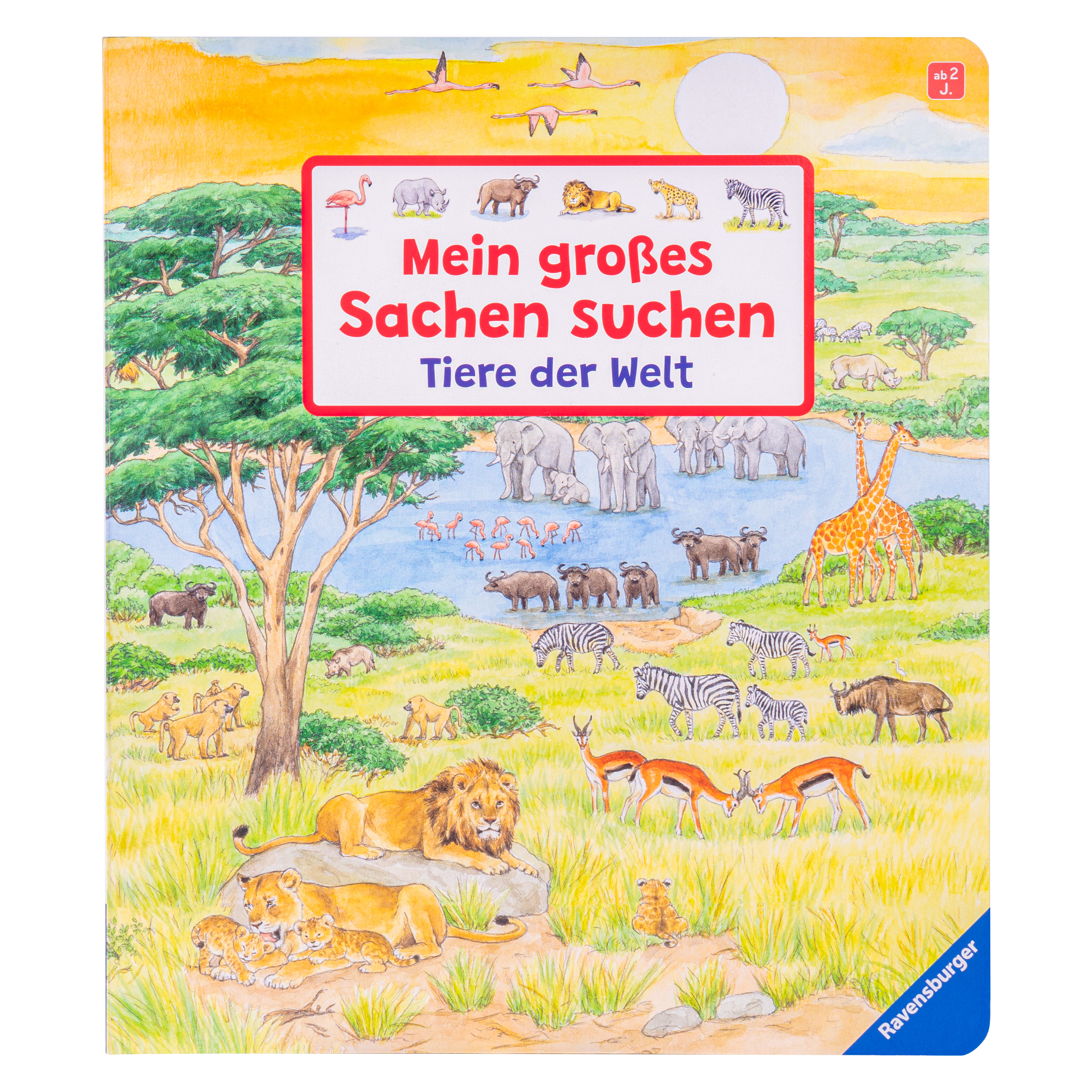 Wimmelbuch 'Mein großes Sachen suchen: Tiere der Welt'