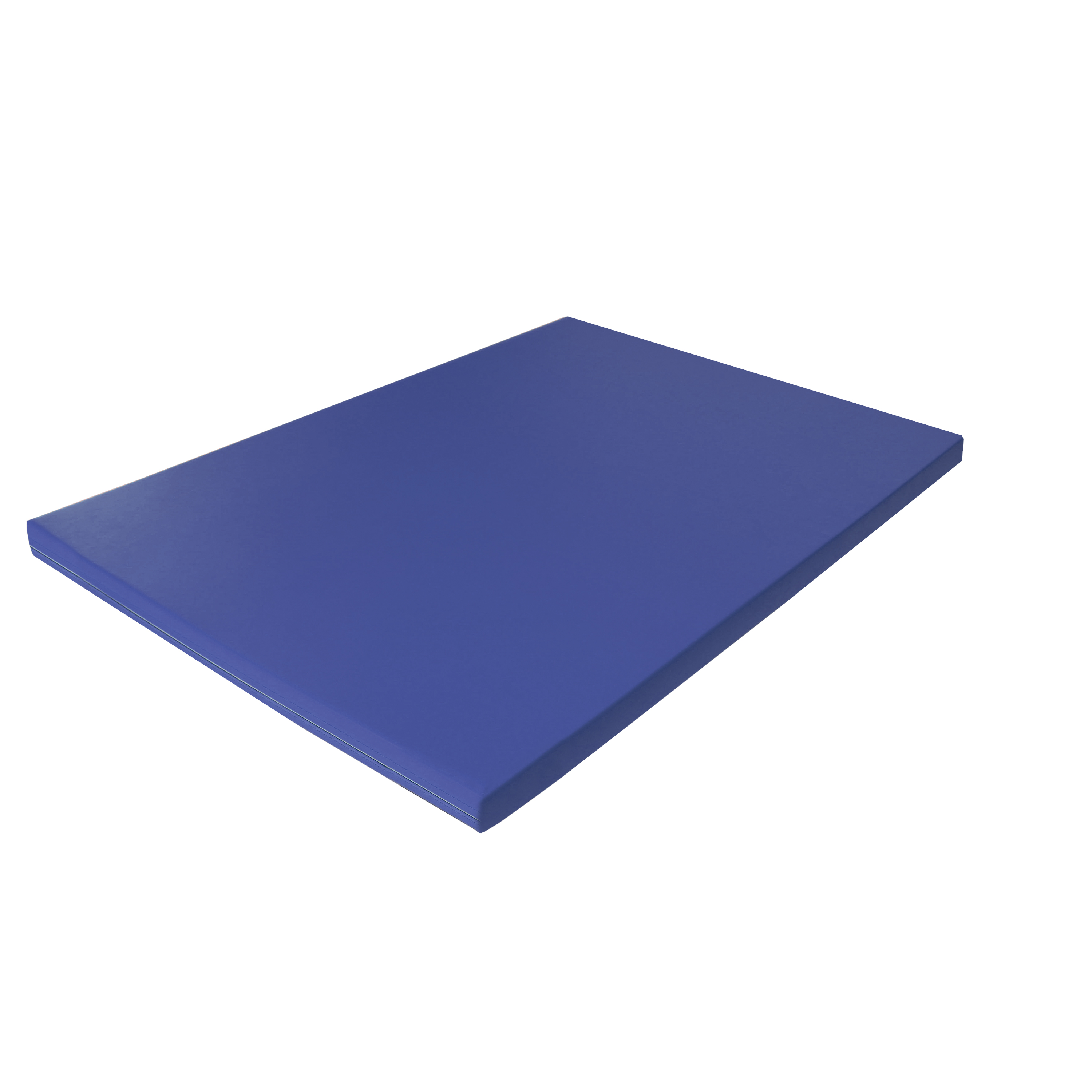 Fallschutzmatte 'FSM 160/60', 150 x 100 x 6 cm, blau