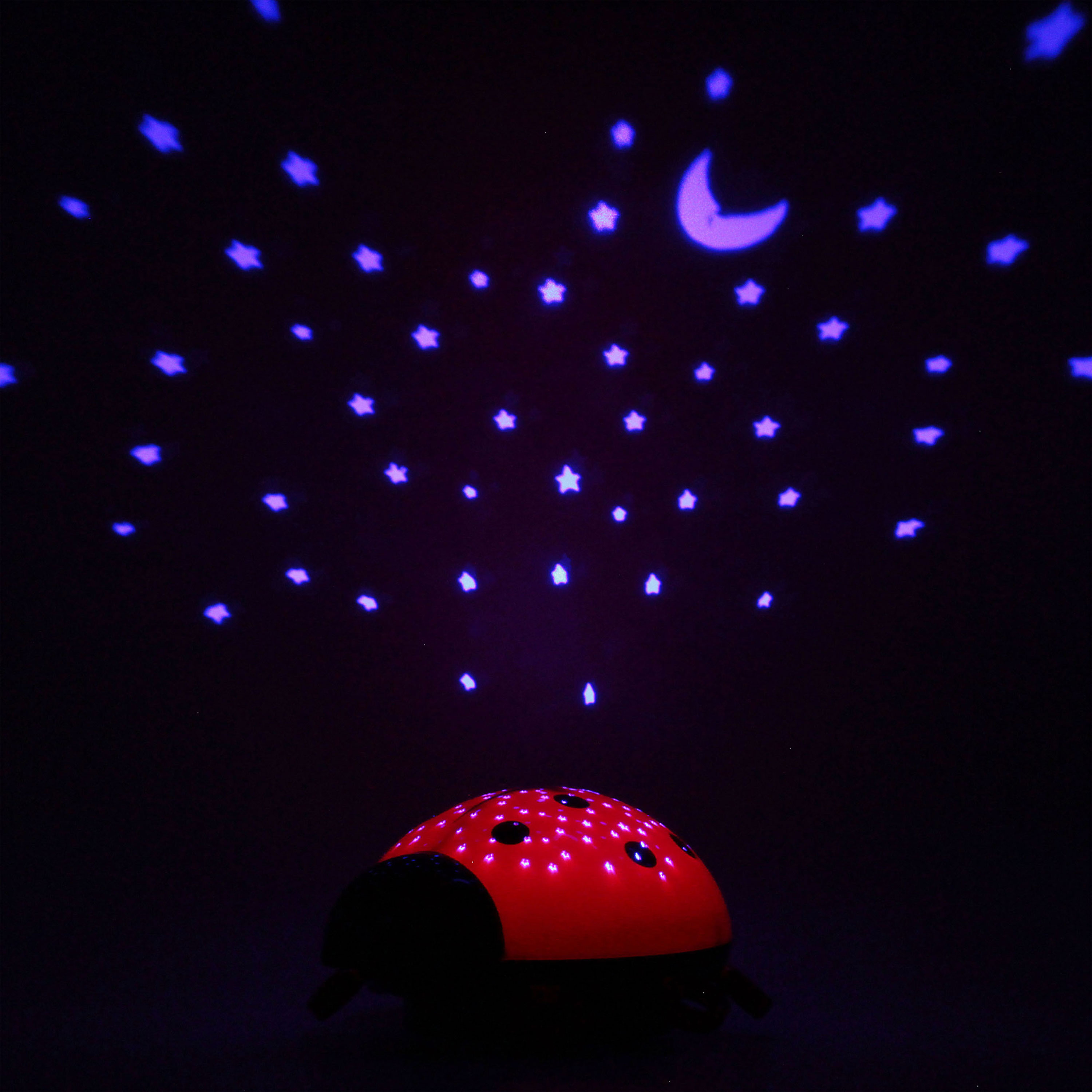 ANSMANN LED Sternenlicht 'Marienkäfer', rot/schwarz