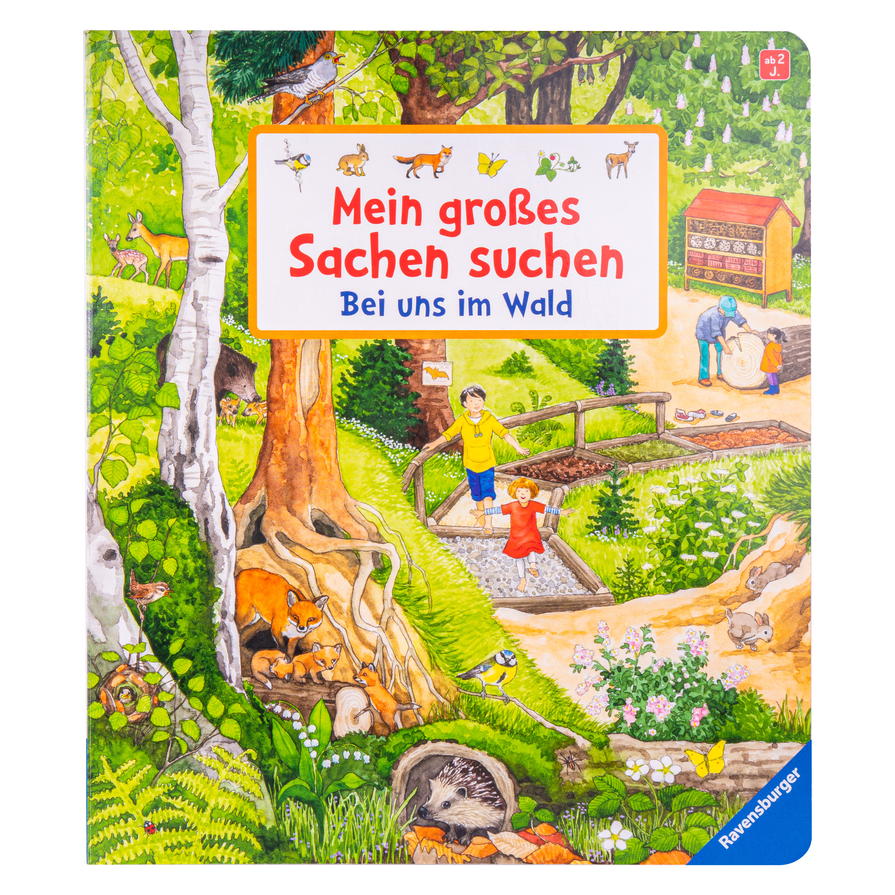 Wimmelbuch 'Mein großes Sachen suchen: Bei uns im Wald'