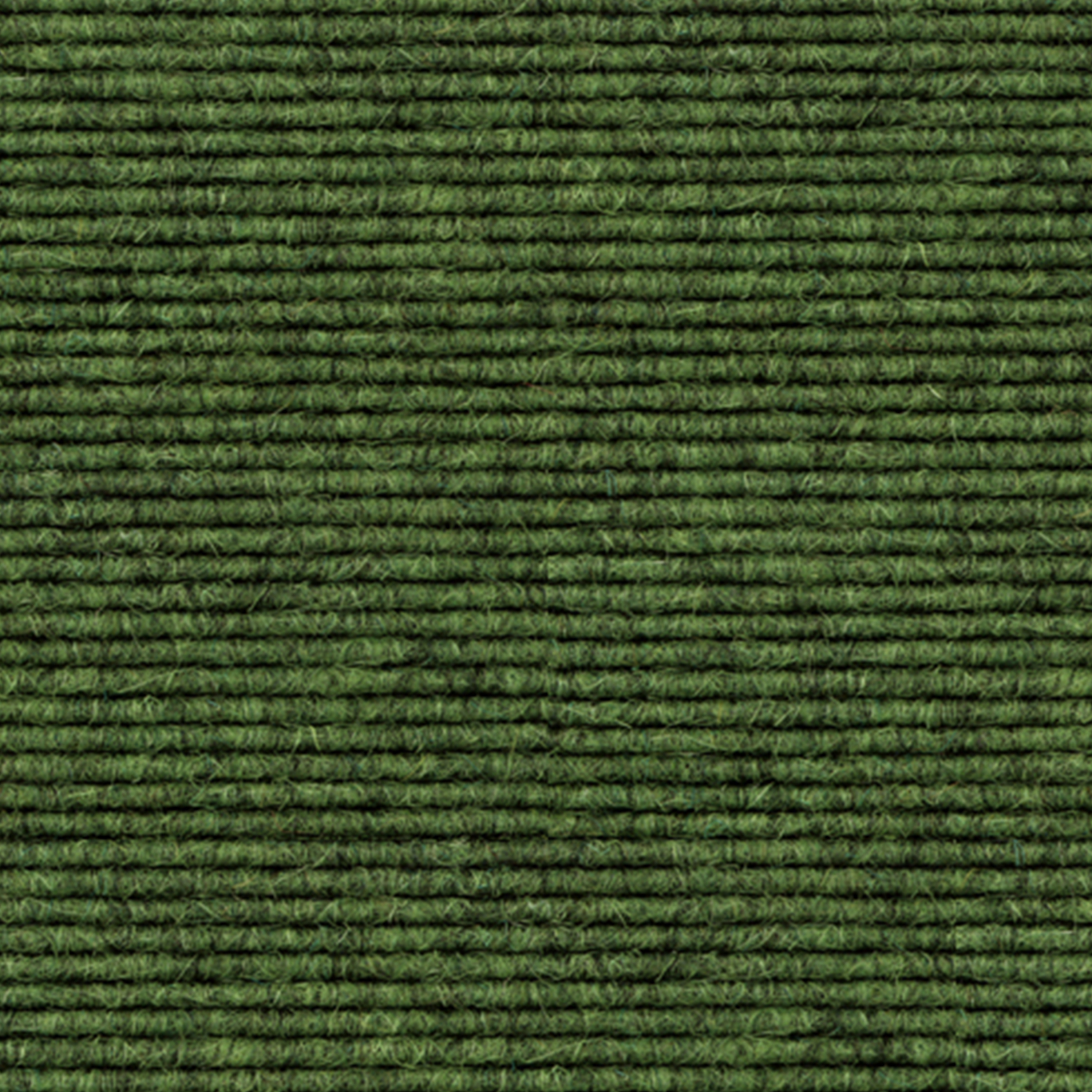 tretford-Teppich 'Moos (569)', 3 x 2 m, gekettelt