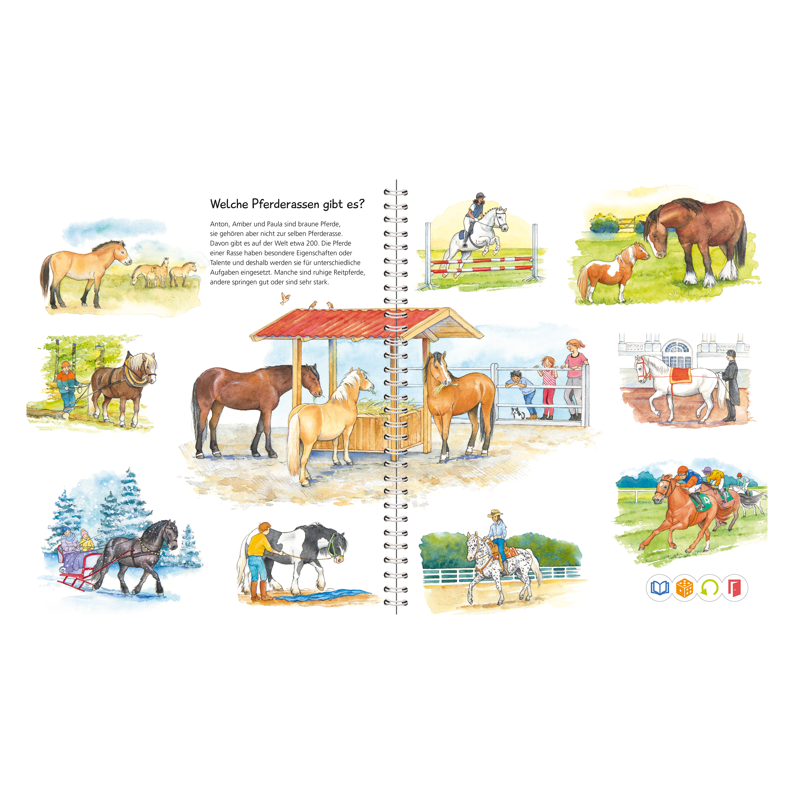 tiptoi® Sachbuch 'Wir entdecken Pferde und Ponys'