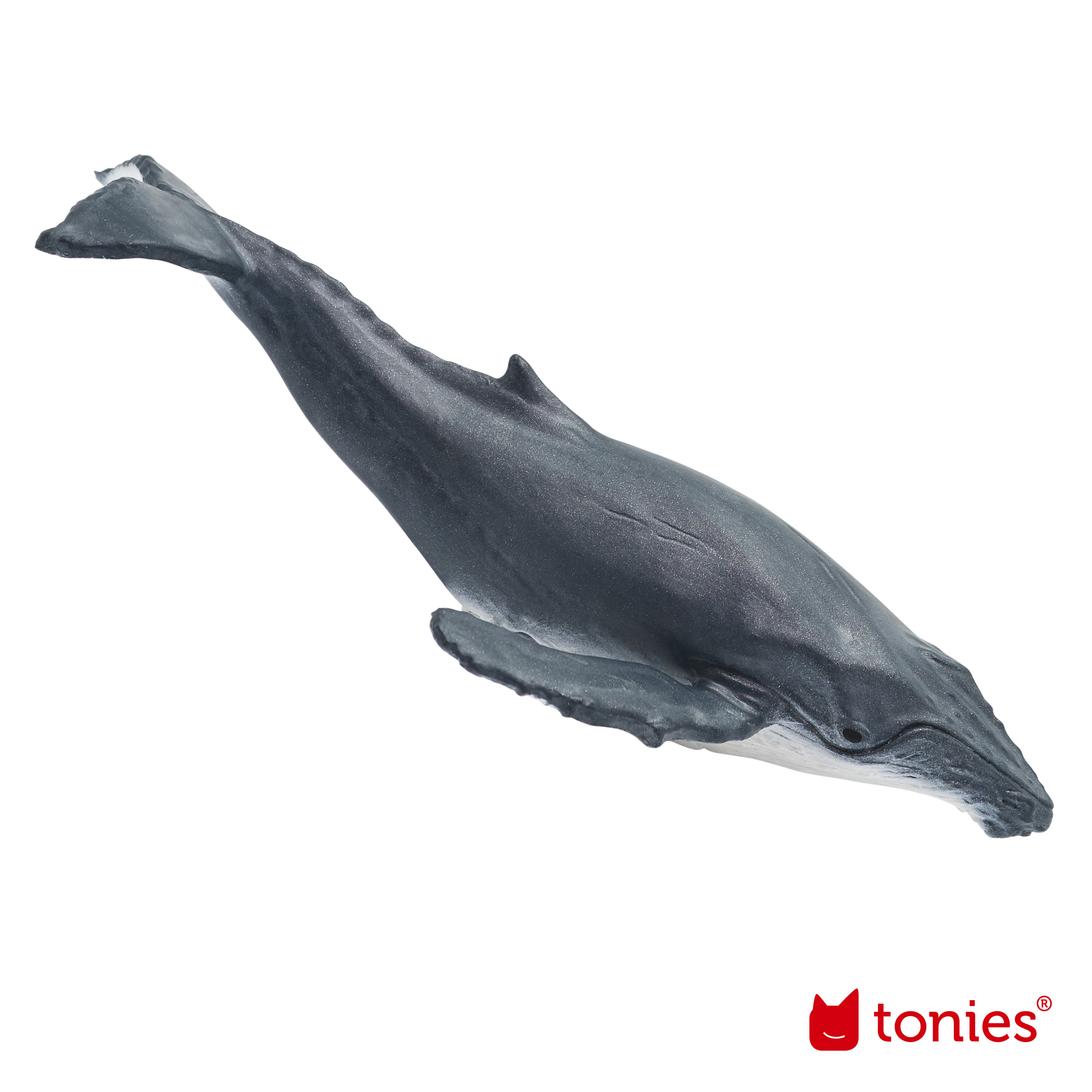 Tonie 'Was ist Was – Wale & Delfine / Geheimnis Tiefsee'